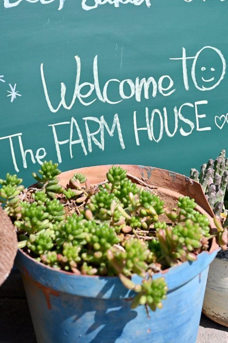 The Farmhouse Boutique Guesthouse And Beergarden Cc オウチョ エクステリア 写真