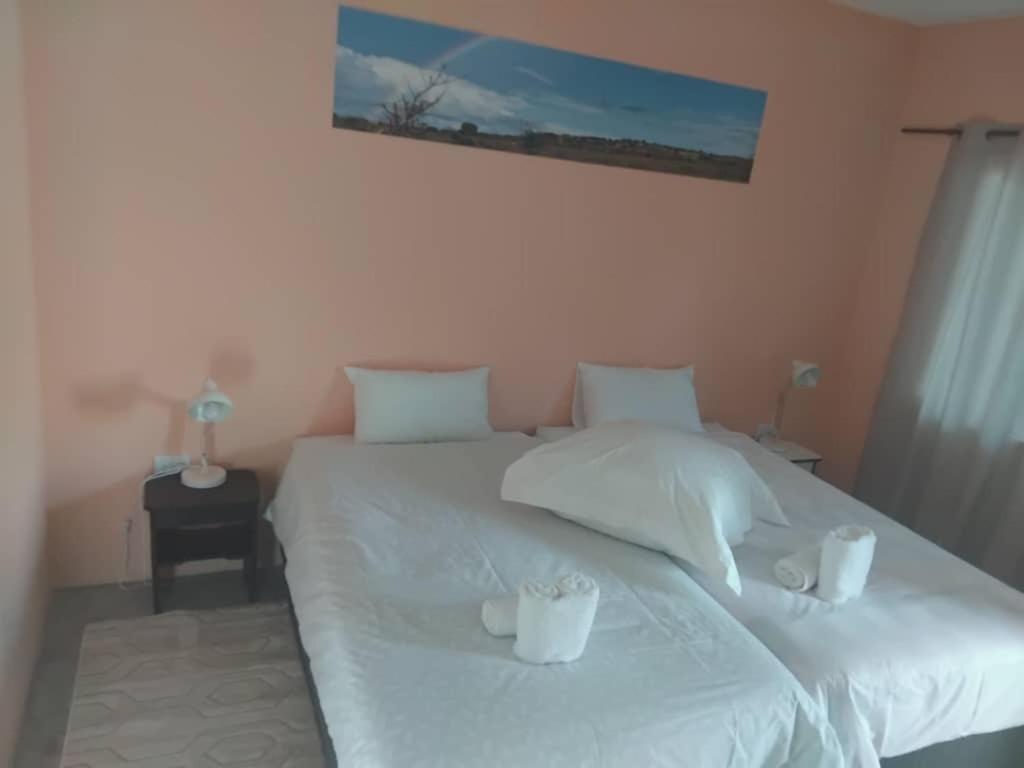 The Farmhouse Boutique Guesthouse And Beergarden Cc オウチョ エクステリア 写真
